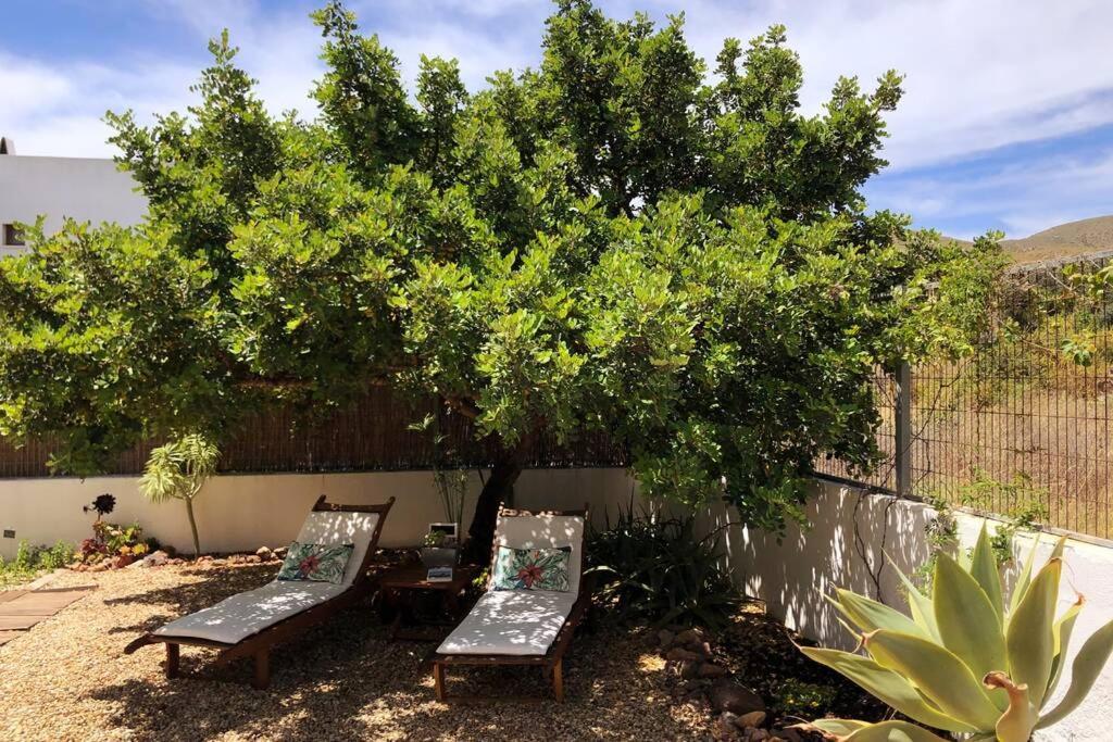 Casa Granado En Cabo De Gata Villa Rodalquilar Exteriör bild