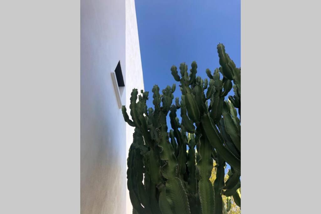 Casa Granado En Cabo De Gata Villa Rodalquilar Exteriör bild